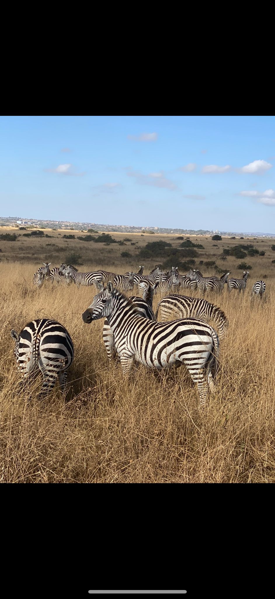 Constance Adventures