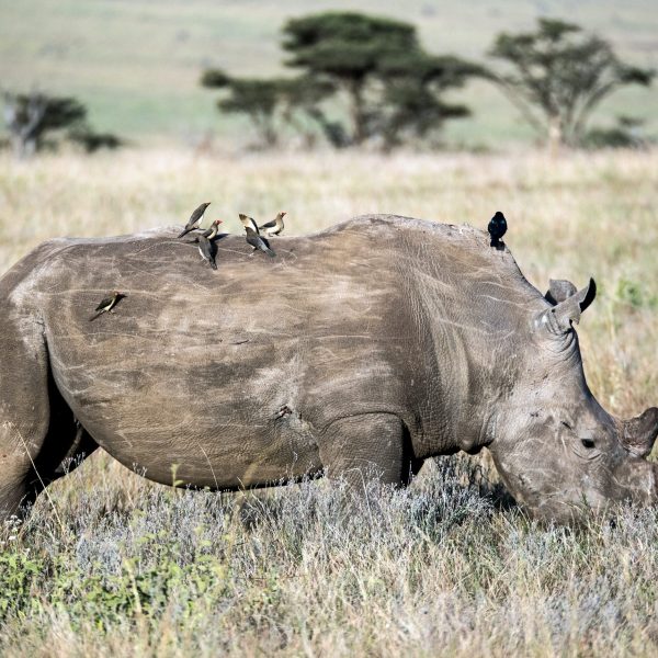 david-clode-S76FLl8g12I-unsplash